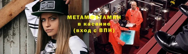 шишки Осинники