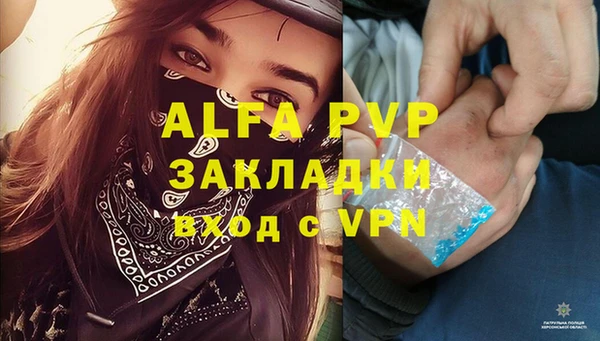 a pvp Абаза