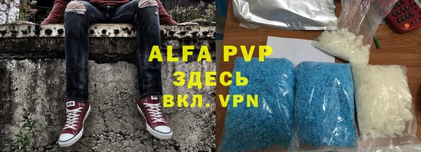 гашик Осташков