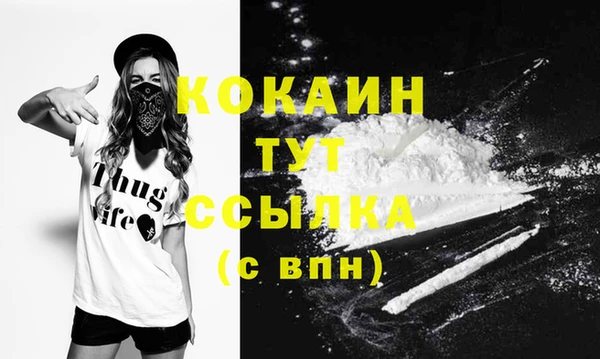 гашик Осташков
